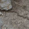 20140526_026